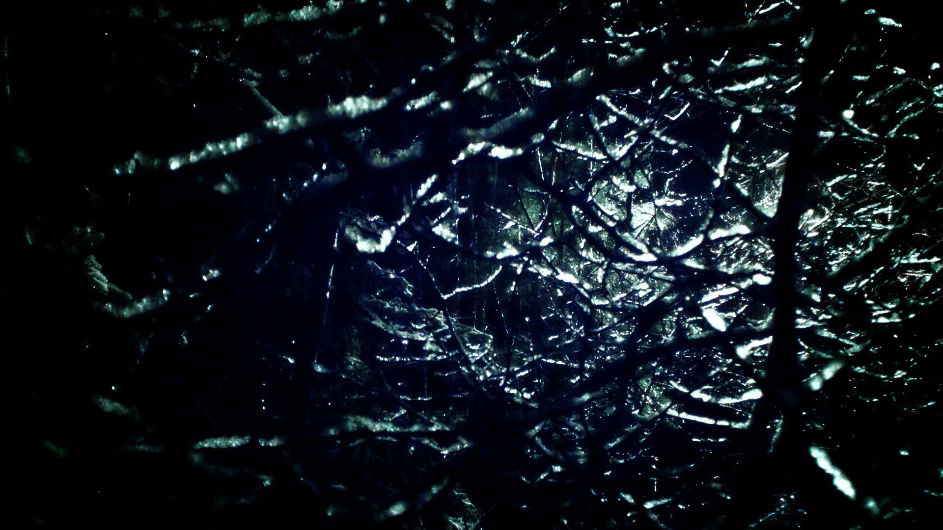 范弗利特的平行回响，当芝加哥公牛绝杀北京队