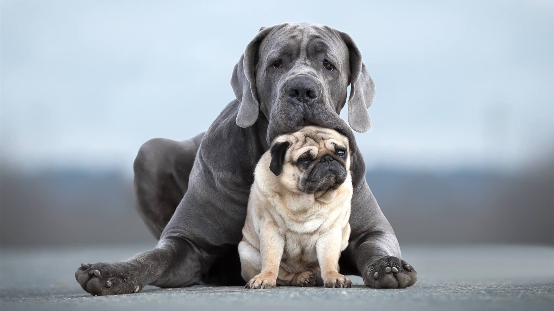 基米希统治中场风暴,中东绿鹰险胜安第斯雄鹰—一场平行时空的足球史诗