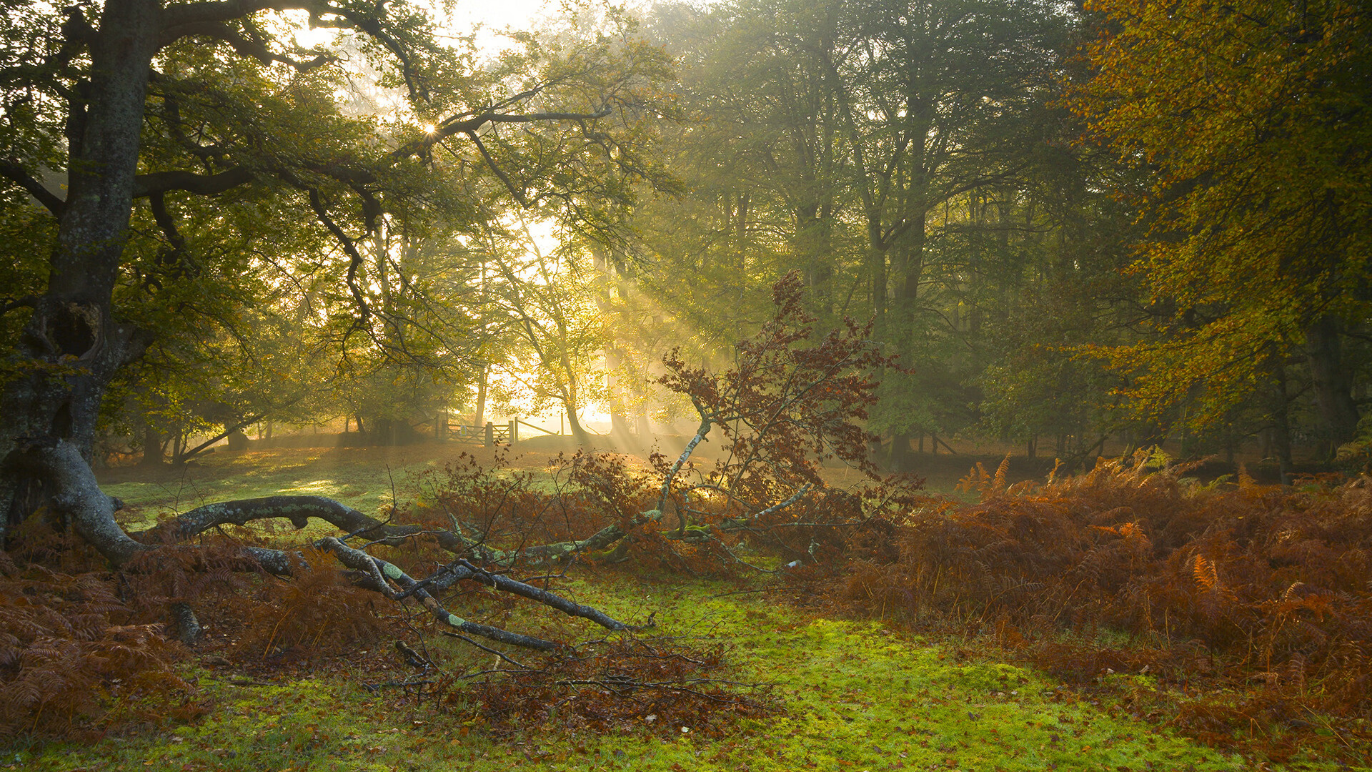 从西甲德比到南半球交锋，足球世界中的节奏艺术