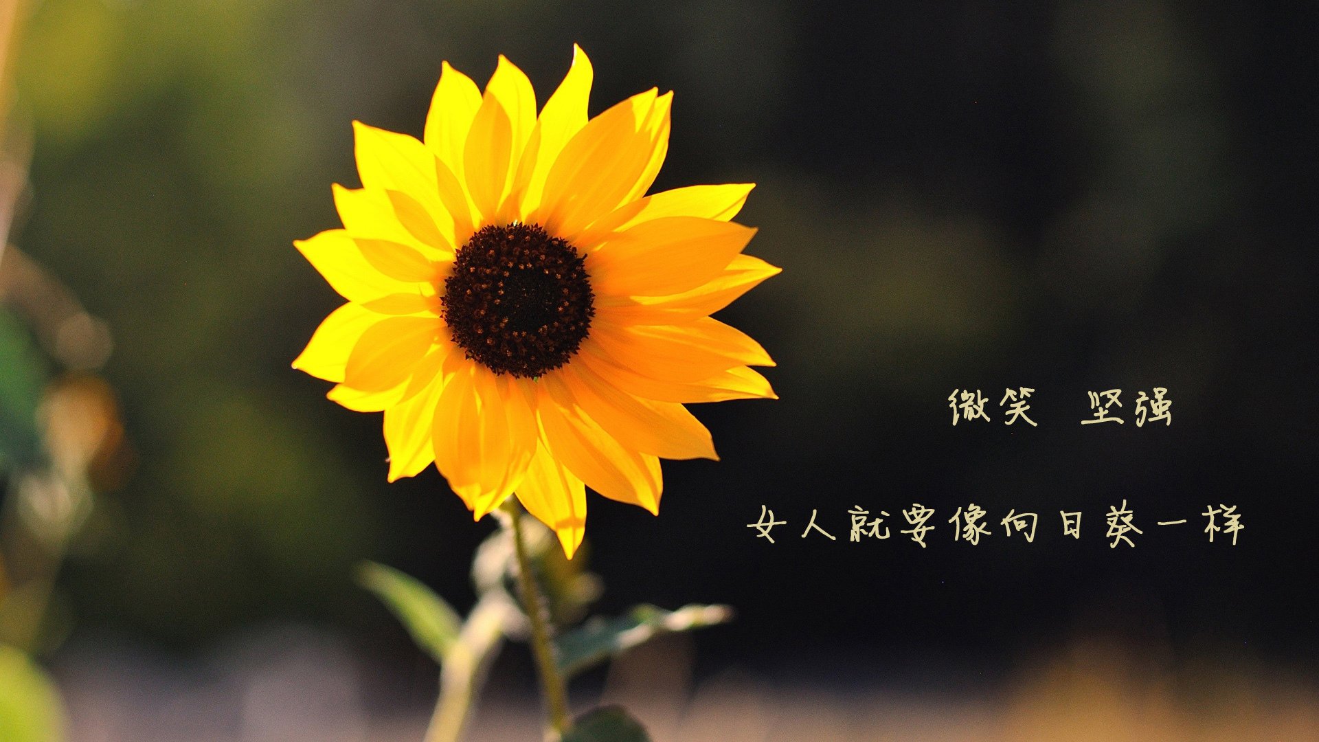 独舞于亚平宁,姆巴佩的秩序与尼斯的交响诗