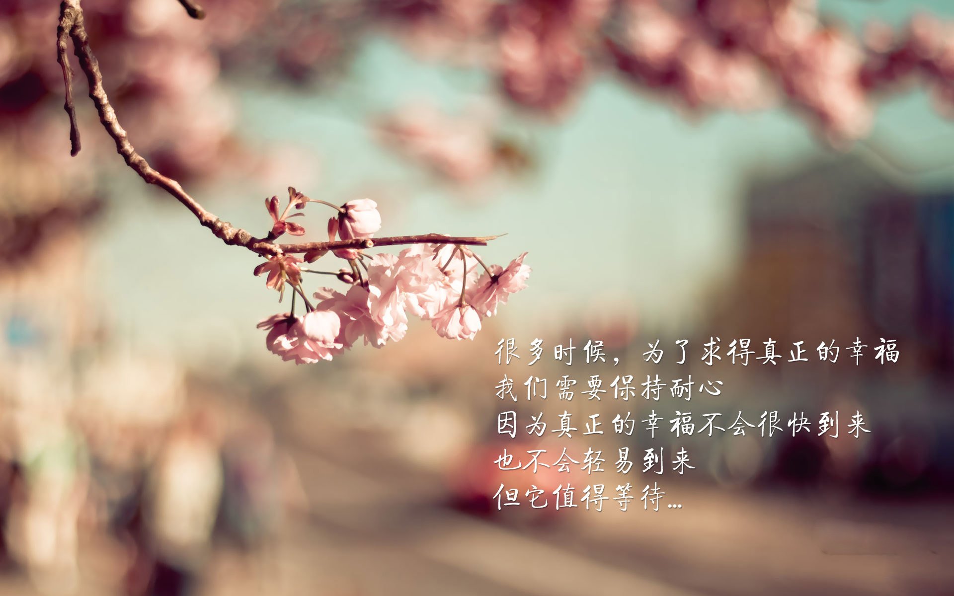 极速与绿茵,当F1争冠战遇上皇马在南非的强压