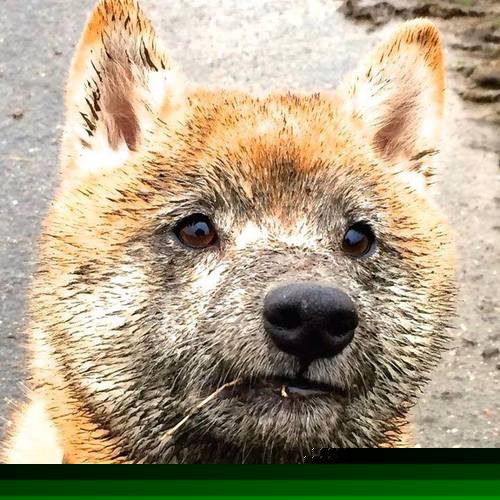 西甲国家德比之夜,阿尔瓦雷斯以一敌众的压制级表演