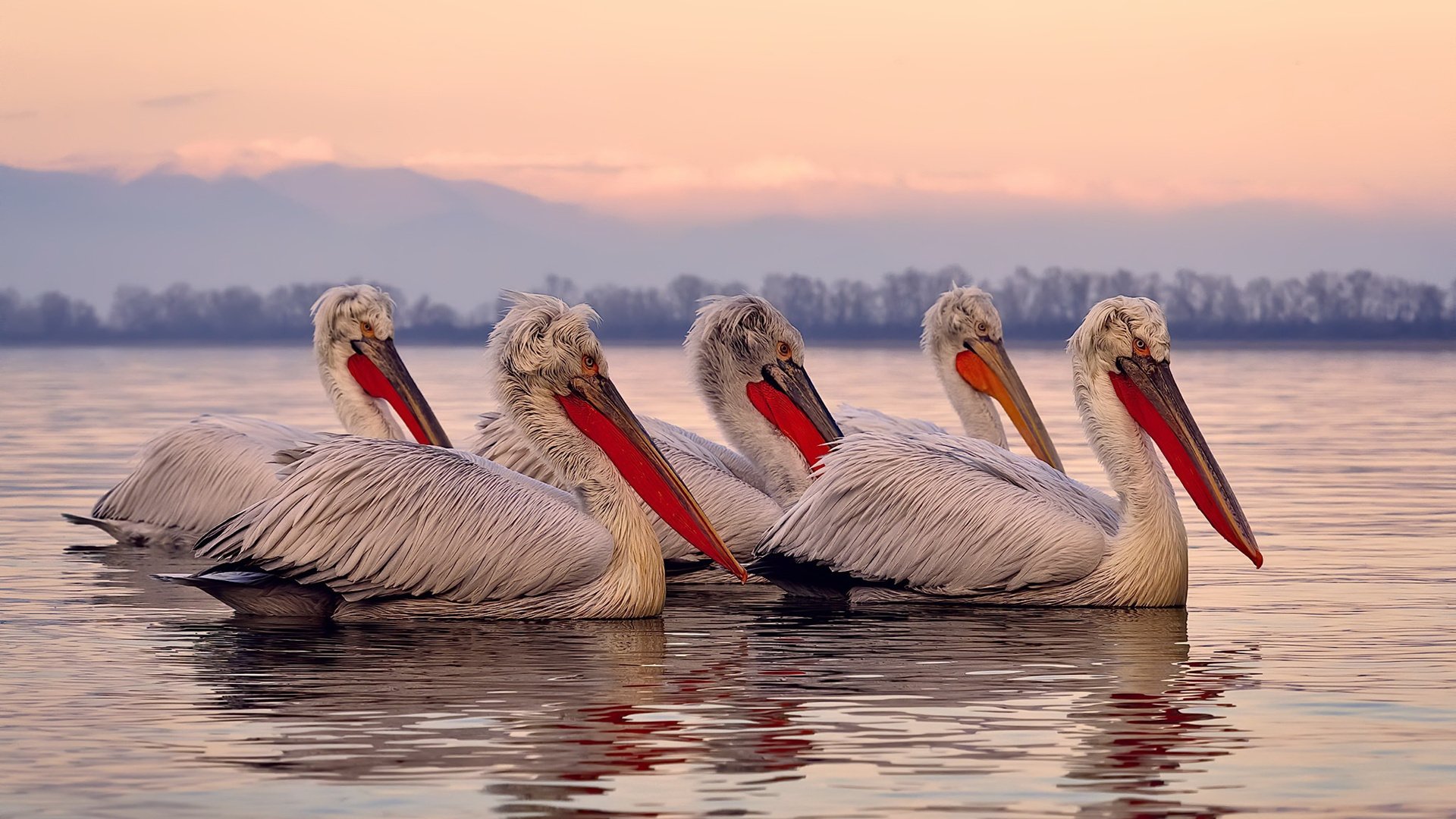 老骥伏枥,法比尼奥一剑封喉,乌拉圭逆天改命终结巴西神话