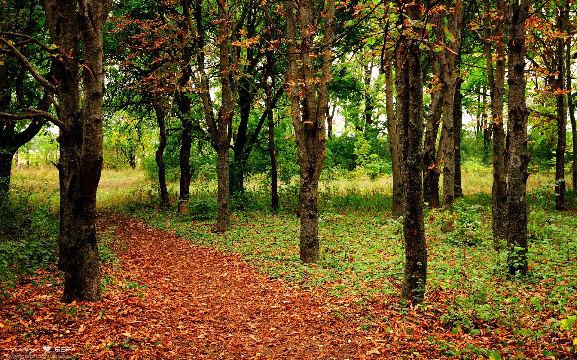 爱游戏官网-唯一性的交汇，西甲国家德比焦点战背景下，马里如何拿下阿尔及利亚的全球启示