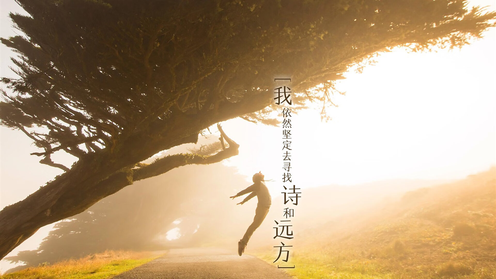 唯一性的交汇,西甲国家德比焦点战背景下,马里如何拿下阿尔及利亚的全球启示