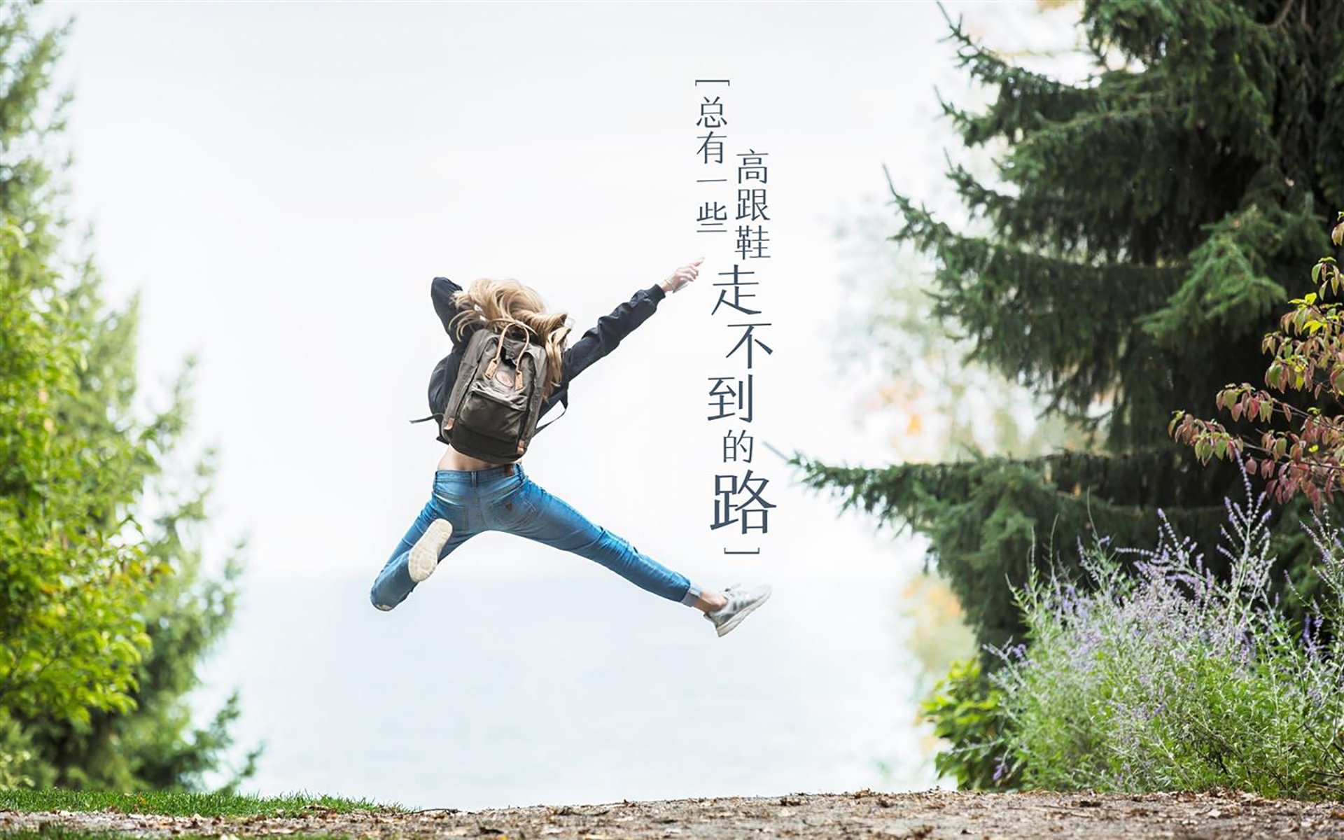 蓝黄之盾，厄瓜多尔如何在D组生死战中借萨内之钥锁死罗马尼亚
