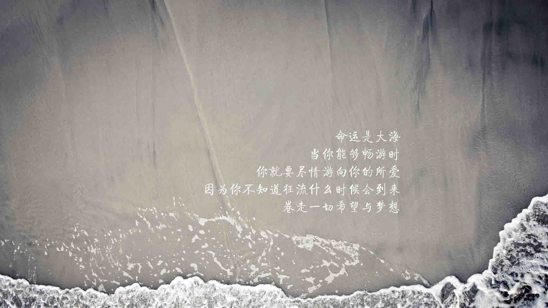 爱游戏-蓝黄风暴下的死局，布罗佐维奇影子大师级表演，厄瓜多尔如何用高度与硬度碾碎罗马尼亚的2026世界杯之梦